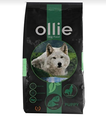 Ollie etli yetişkin köpek maması 15 kg