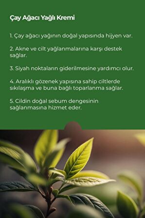 Greenlabel Çay Ağacı Yağı Içeren Sivilce Karşıtı Cilt Bakım Kremi 50ml.