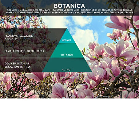 Rulopak Botanica Koku Kartuşu 100 ml (M7)