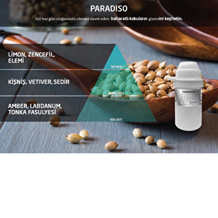 Rulopak Paradiso Koku Kartuşu 100 ml (M7)