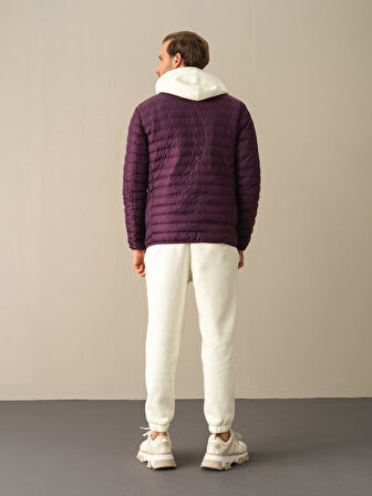 Xint Mor Regular Fit Şişme Mont