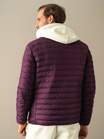 Xint Mor Regular Fit Şişme Mont