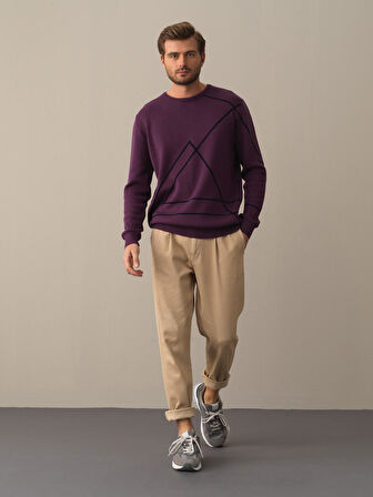 Xint Mor Regular Fit Desenli Kazak