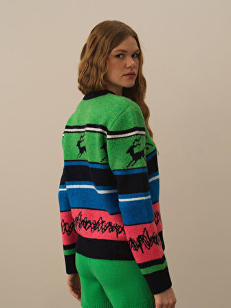 Xint Yeşil Lüks Pamuk Dokulu Regular Fit Kazak