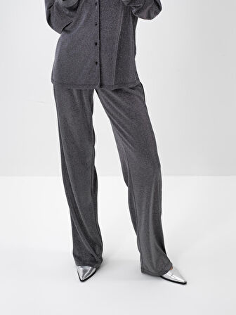 Xint Antrasit Işıltılı Sim Detaylı Regular Fit Pantolon