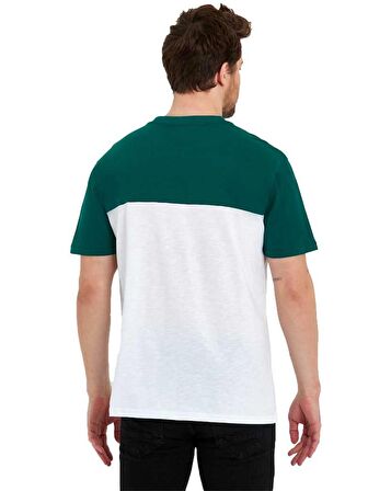 Erkek Bisiklet Yaka Blok Renkli Regular Fit Baskılı Tişört