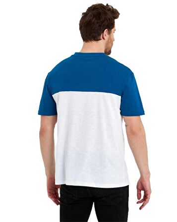 Erkek Bisiklet Yaka Blok Renkli Regular Fit Baskılı Tişört