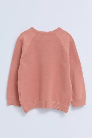 LCW baby Pembe Bisiklet Yaka Kendinden Desenli Erkek Bebek Triko Kazak