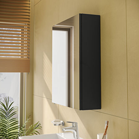 VitrA Mia 67710 Asimetrik Dolaplı Ayna, Parlak Antrasit, 60 cm