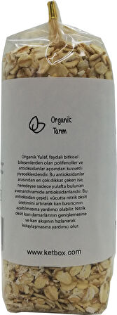 Organik Yulaf Ezmesi 200 Gram Katkısız Doğal