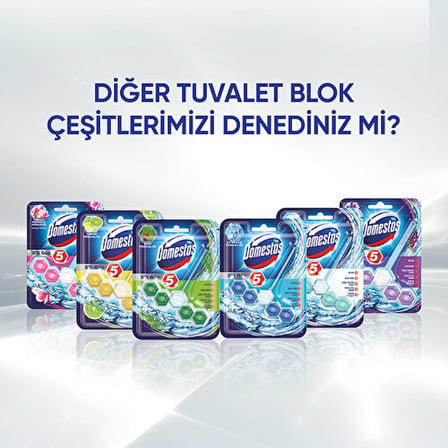 Domestos Wc Blok 5'Li Güç Çam Ferahlıgı 50GR 6863