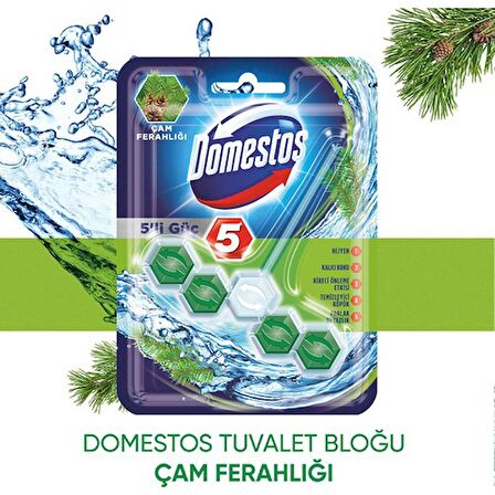 Domestos Wc Blok 5'Li Güç Çam Ferahlıgı 50GR 6863