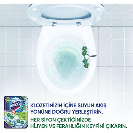 Domestos Wc Blok 5'Li Güç Çam Ferahlıgı 50GR 6863