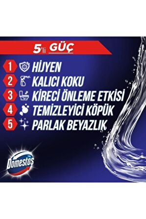 Domestos WC Blok 5'li Güç Tuvalet Bloğu Manolya Ferahlığı Maksimum Hijyen 100 G