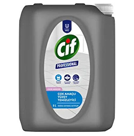 Cif Professional Yüzey Temizleyici 5 Lt