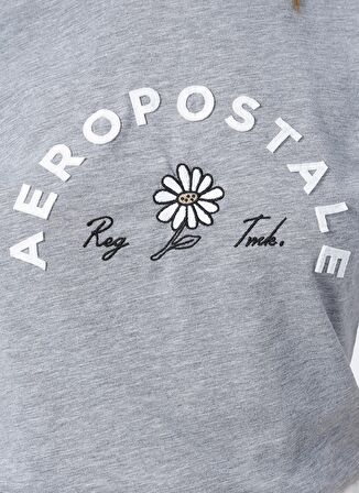 Aeropostale Bisiklet Yaka Standart Kalıp Gri Melanj Kadın T-Shirt - K-5721