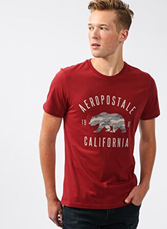 Aeropostale Bisiklet Yaka Baskılı Bordo Erkek T-Shirt E-7179