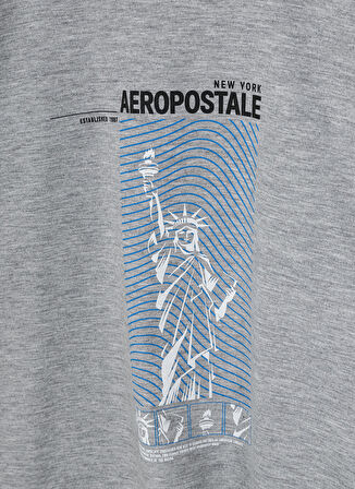 Aeropostale Baskılı Gri Melanj Erkek Çocuk T-Shirt 23SAB-07