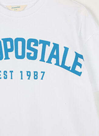 Aeropostale Ekru Erkek Çocuk Bisiklet Yaka Oversize Baskılı T-Shirt 23SAB-31