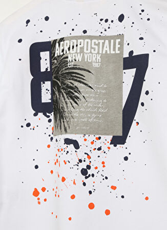 Aeropostale Ekru Erkek Çocuk Bisiklet Yaka Oversize Baskılı T-Shirt 23SAB-39