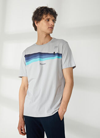 Discovery Expedition Gri Erkek Bisiklet Yaka Kısa Kollu Relaxed Baskılı T-Shirt HARDAP