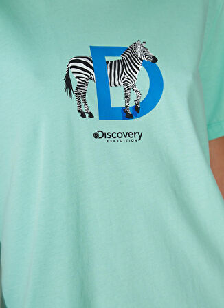 Discovery Expedition Mint Kadın Bisiklet Yaka Kısa Kollu Relaxed Baskılı T-Shirt W-MERCAX