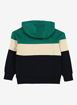 Discovery Expedition  Erkek Çocuk Kapüşonlu Uzun Kollu Relaxed Blok Sweatshirt D3WB-SWT28