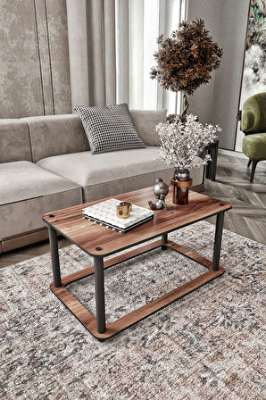 Ravilo Hole Dikdörtgen Orta Sehpa Ceviz