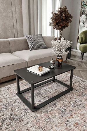 Ravilo Hole Dikdörtgen Orta Sehpa Siyah