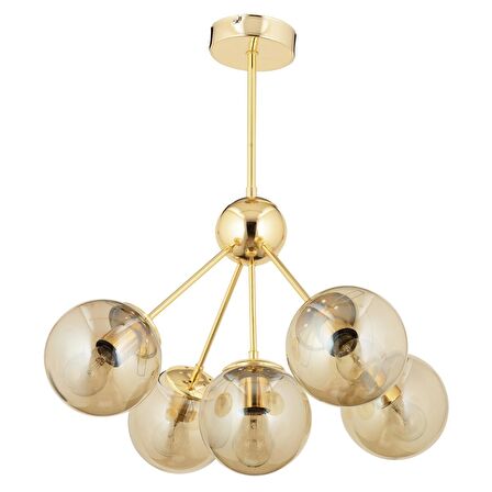 Meyo 5Li Gold Bal Camlı Modern Genç Odası Yatak Odası Salon Avize 