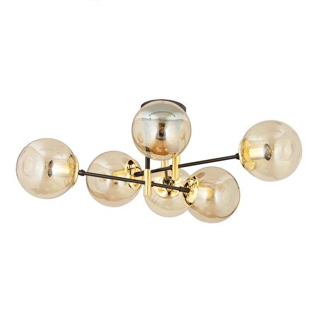 Maral 6Lı Siyah Gold  Bal Camlı Modern Genç Odası Yatak Odası Retro Salon Avize 