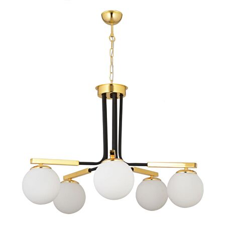 Akkor 5Li Siyah Gold Modern Oturma Odası Yatak odası Salon Avize 