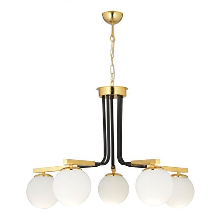 Akkor 5Li Siyah Gold Modern Oturma Odası Yatak odası Salon Avize 