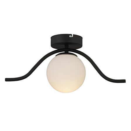 Zeyna Siyah Tekli Plafonyer Modern Mutfak Retro Salon Avize 
