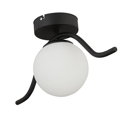 Zeyna Siyah Tekli Plafonyer Modern Mutfak Retro Salon Avize 