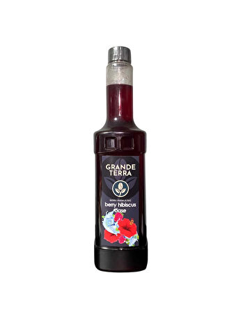 Grandeterra Berry Hibiskus Bazı 750ml