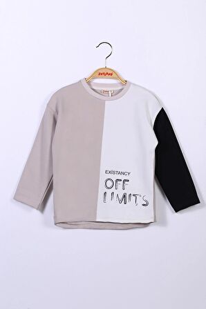 Erkek Çocuk Renk Bloklu Sweatshirt