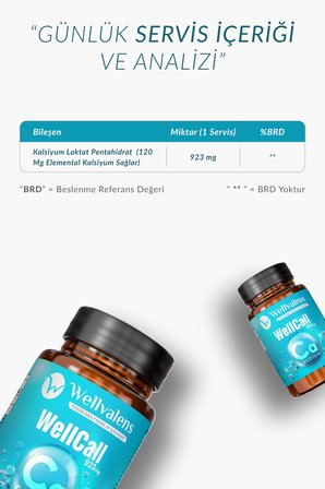 Wellcall Kalsiyum Laktat 60 Tablet
