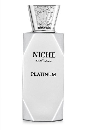 Niche Exclusive Platinum EDP 100 ml Erkek Parfüm