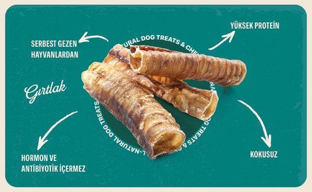 Dana Gırtlak %100 Doğal Çiğnemelik Köpek Ödül Maması 100 gr