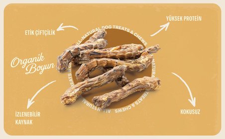 Organik Tavuk Boyun %100 Doğal Çiğnemelik Köpek Ödül Maması 100 gr