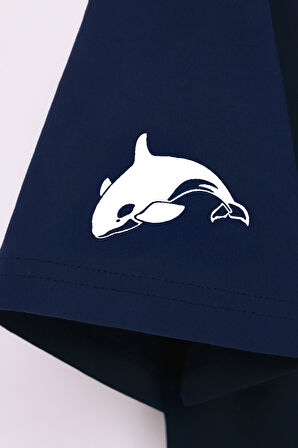 Kadın Bisiklet Yaka Basic Düz Kısa Kollu T-shirt