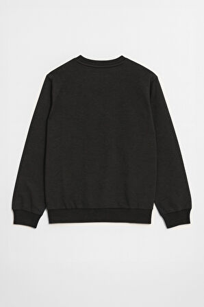 Erkek Bisiklet Yaka Düz Antrasit Sweatshirt