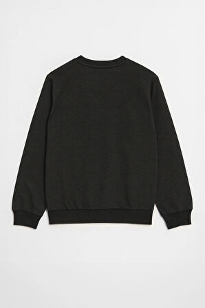 Erkek Bisiklet Yaka Düz Antrasit Sweatshirt