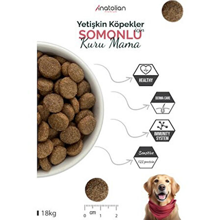 Anatolian Premium Somonlu Yetişkin Köpek Maması 18 kg