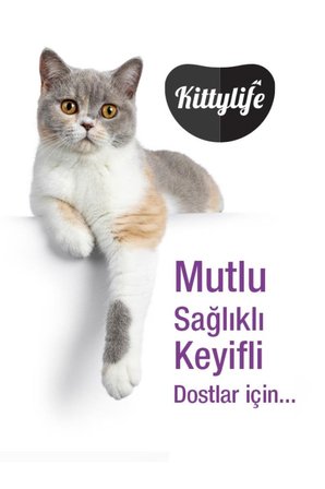 Kitty Life Süper Premum Somonlu Kedi Maması 2 Kg
