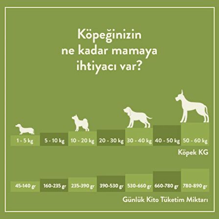 Doğal Besi Kuzu Etli Yetişkin Köpek Maması 15 Kg