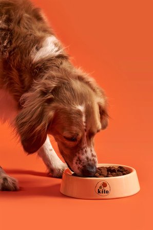 Kito Doğal Besi Kuzu Etli Yetişkin Köpek Maması 15 Kg