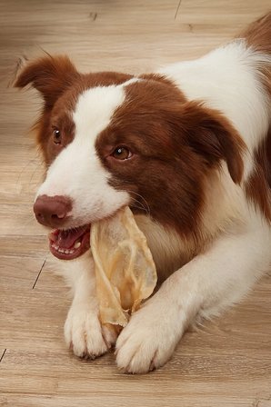 Kurutulmuş Dana Kulak Çiğnemelik Köpek Ödül Maması %100 Doğal, Glutensiz, Organik 100 gr