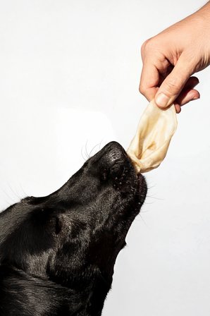 Kito Kurutulmuş Kuzu Kulak Çiğnemelik Köpek Ödül Maması Glutensiz, Organik 100 Gr